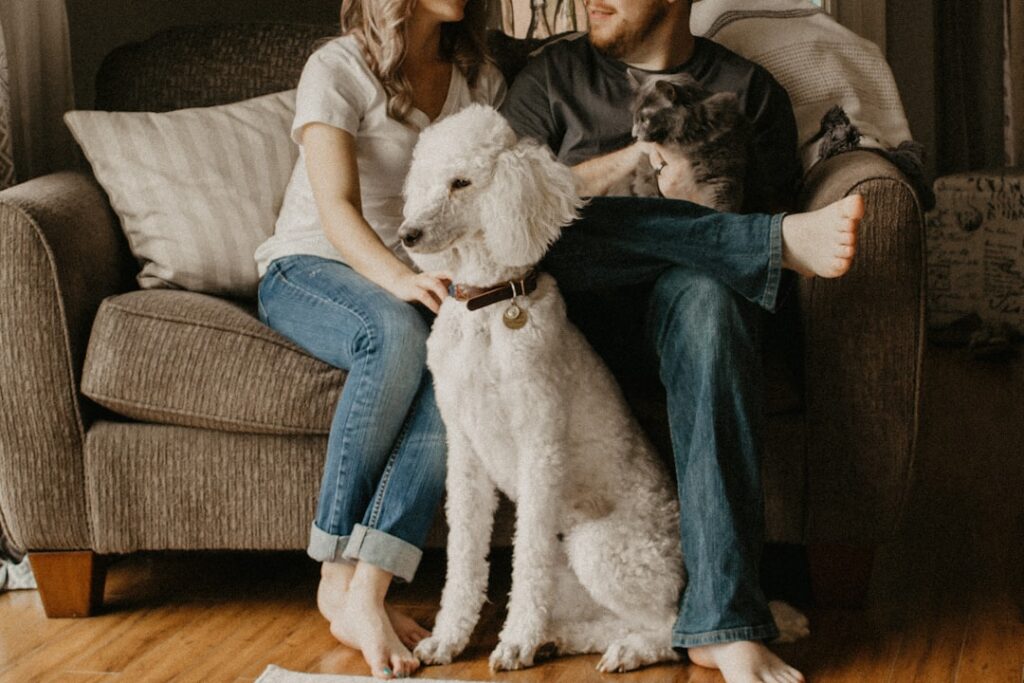 Pet Care Products That Help Keep Your Home Clean and Fresh