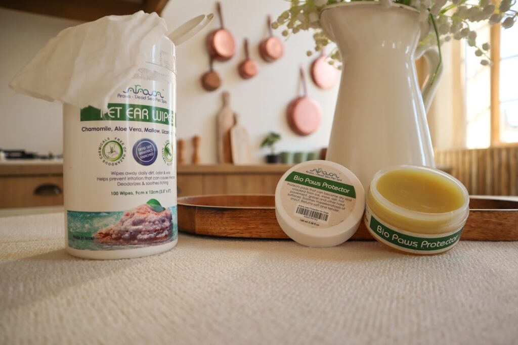 Pet Products That Make Daily Care Easier and More Comfortable