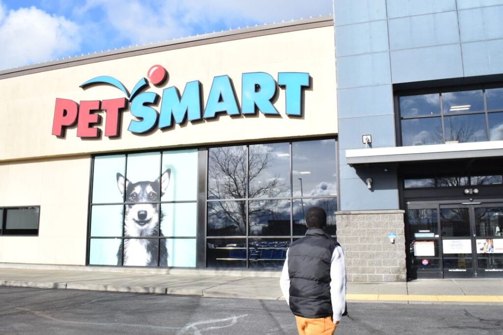 Smart Pet Products That Make Life Easier for Busy Owners