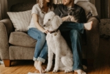 Pet Care Products That Help Keep Your Home Clean and Fresh