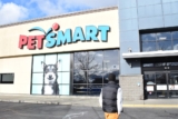 Smart Pet Products That Make Life Easier for Busy Owners